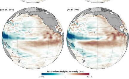 Conciencia. El Niño y el mar (de fondo)