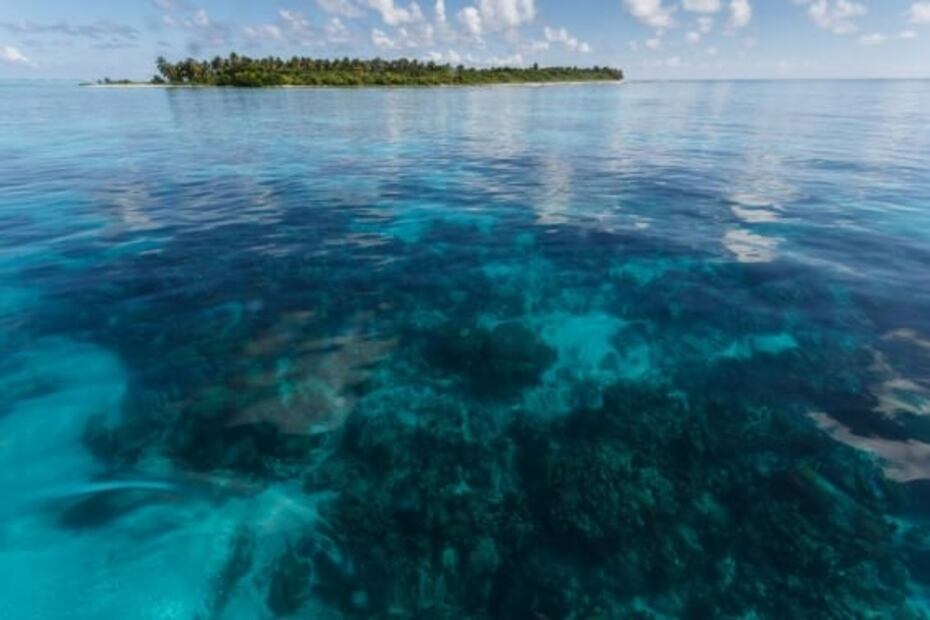 Belice: cómo viajar al Gran Agujero Azul, maravilla bajo el mar