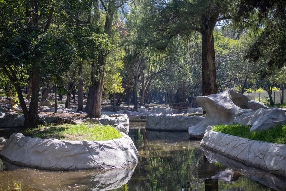 Foto: Facebook ‘Bosque de Chapultepec’
