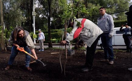 Recuperan predio en Miguel Hidalgo y lo vuelven huerto urbano