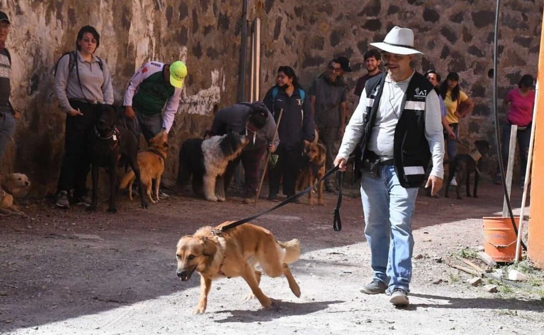 Taller perros rescatistas en Tlalpan. Foto: Especial