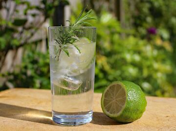 ¿Qué pasa si le pones romero al agua simple?