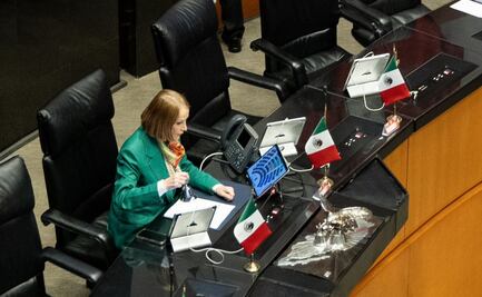 Laura Itzel Castillo busca elevar el nivel del debate en el Senado; no se debe permitir la violencia, señaló 