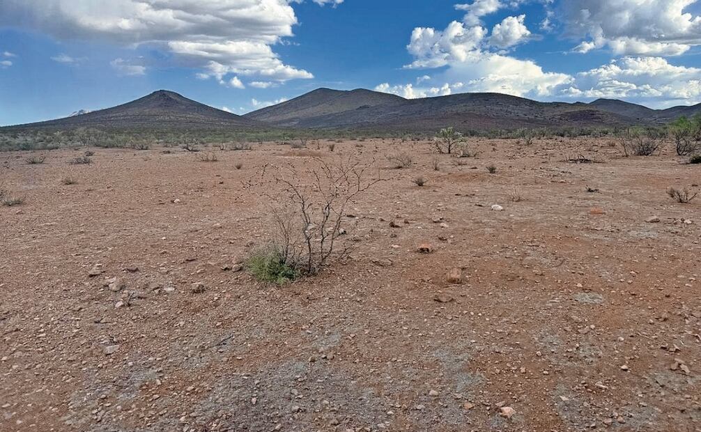 Productores y ganaderos de diversas regiones rurales del estado señalan que no llovió lo suficiente y eso ha generando afectación en los campos agrícolas. Foto: Especial