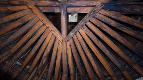 Así era “el bosque”, tesoro de Notre Dame que fue consumido por el fuego