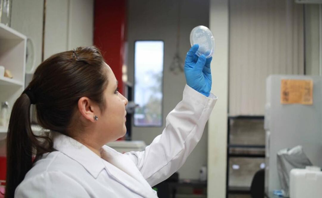 More than 100 thousand people in Mexico have suffered amputations as a result of diabetes, according to health institutions and civil associations - Photo: Taken from the IPN's official Facebook page