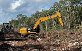 ONG denuncia construcción ilegal de carretera sobre acuífero Maya en Tulum; acusan devastación de la selva