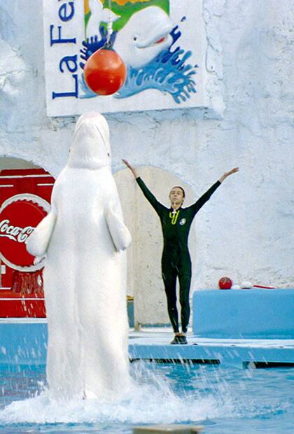 Las belugas habitaron debajo de la Montaña Rusa siete años, luego fueron trasladadas a un acuario de Atlanta porque vivían bajo estrés por la vibración del lugar por el paso de los carritos y los gritos de la gente. 2001. Archivo EL UNIVERSAL.