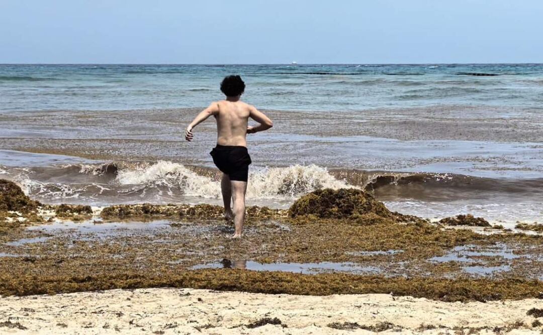 Presencia de sargazo en costas de Quintana Roo (03/06/2025). Foto: Adriana Varillas / EL UNIVERSAL