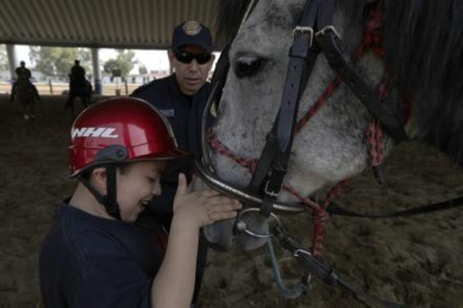Caballos policías ayudan a niños con autismo