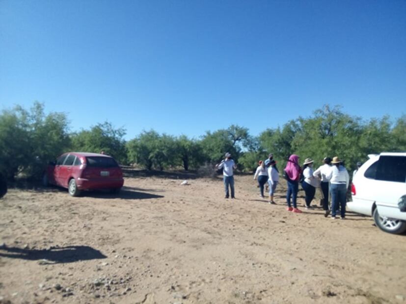 Descubren en Sonora al menos 10 crematorios humanos clandestinos