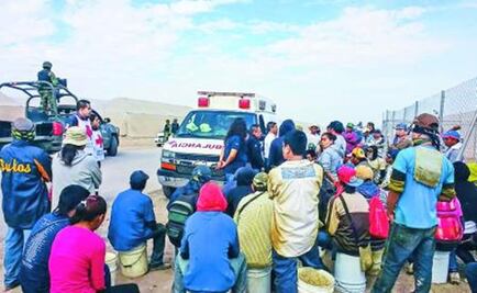 81 farm workers freed from “inhuman conditions”  in Coahuila