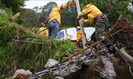 FOTOS: Así fue el operativo en Los Dinamos donde se recuperaron cuatro hectáreas invadidas
