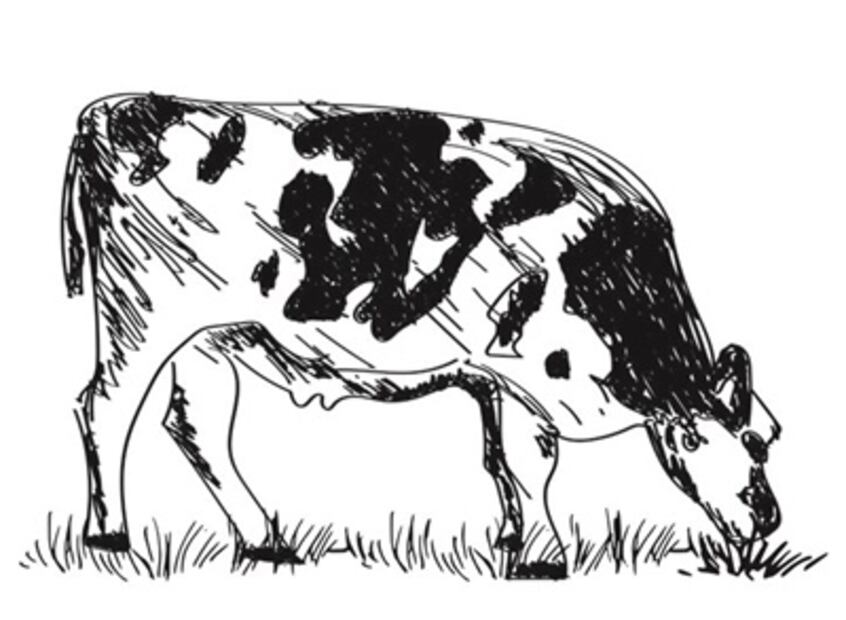 ¿Qué tipo de leche consumimos los mexicanos?