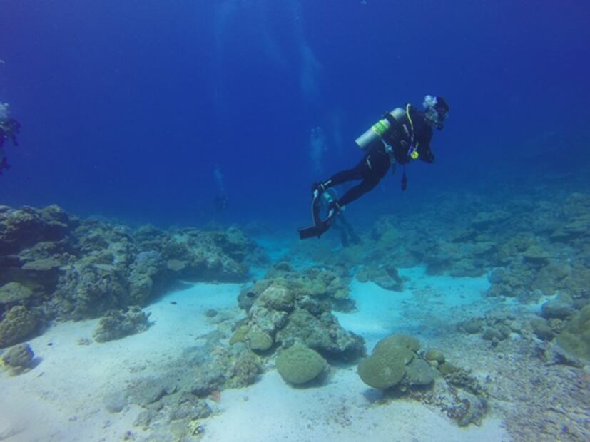 Cerrarán al turismo arrecifes en Cozumel