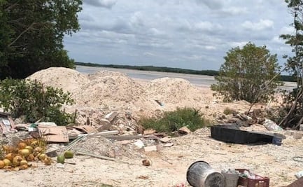 Denuncian nueva destrucción de manglar en Sisal, Yucatán; habitantes acusan al comisario municipal de complicidad