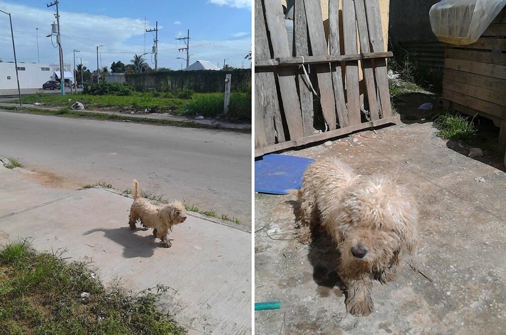 Fotos: Cortesía Jimmy Sosa Casanova