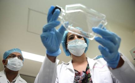 Ciencia y mujeres: aún el camino es largo