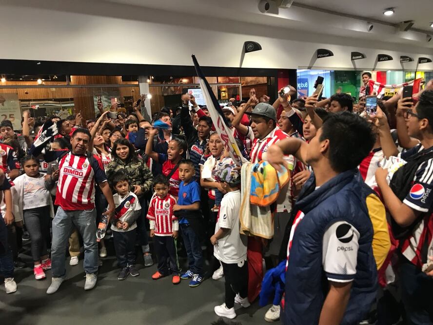 Especial. Aficionados de Chivas recibiendo al equipo en la terminal 2 del aeropuerto de la Ciudad de México
