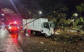 Camión de limpieza se impacta contra un árbol en Tlalpan; hay al menos 10 lesionados