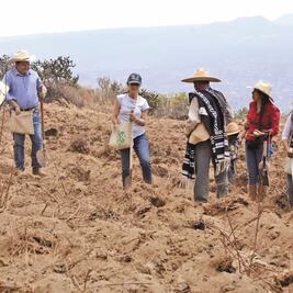 Le dan a Sheinbaum bastón de conciencia 