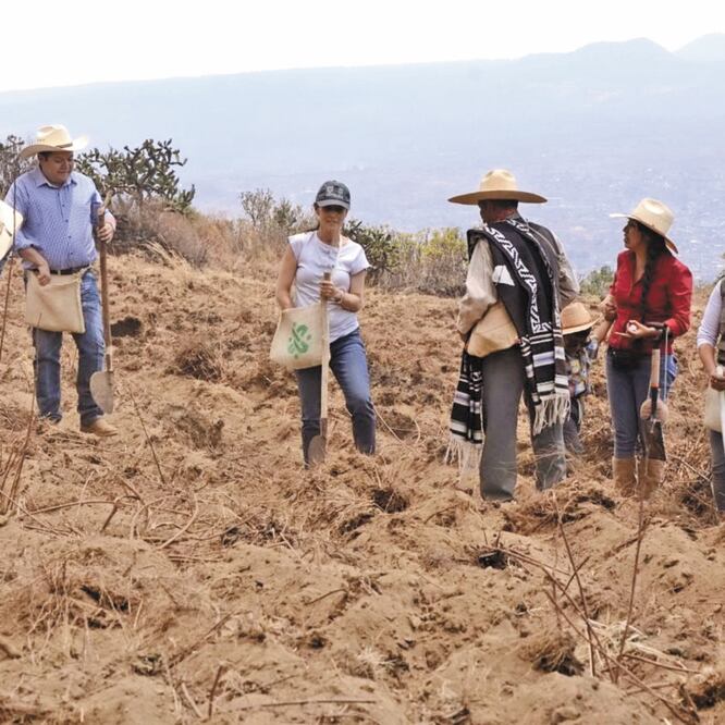 La jefa de Gobierno, Claudia Sheinbaum, junto con otros funcionarios, realizaron actividades de siembra en la alcaldía Milpa Alta. ESPECIAL