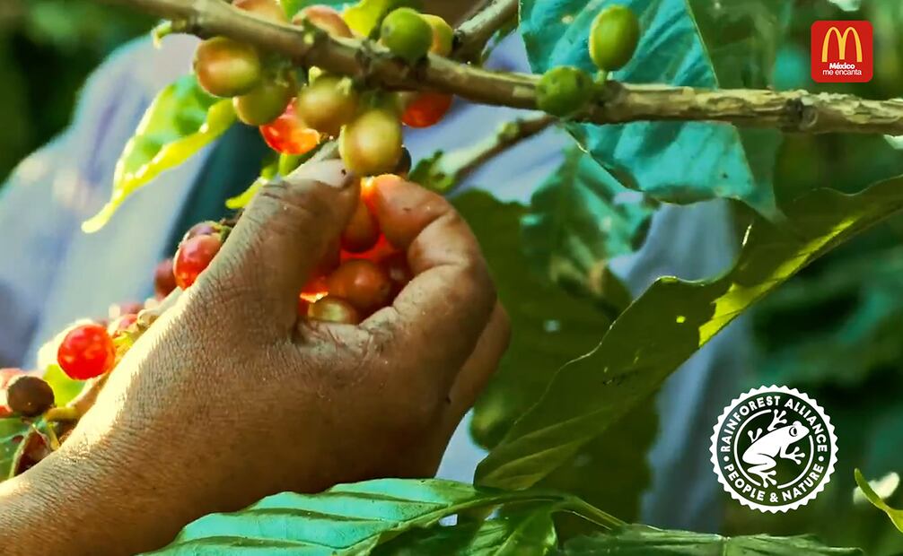 Foto: cortesía McDonald’s