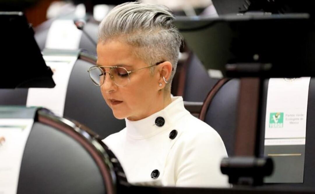 Federica Quijano dijo que hará lo que considere correcto en la discusión de la reforma. Foto: Instagram @dip.federicaq