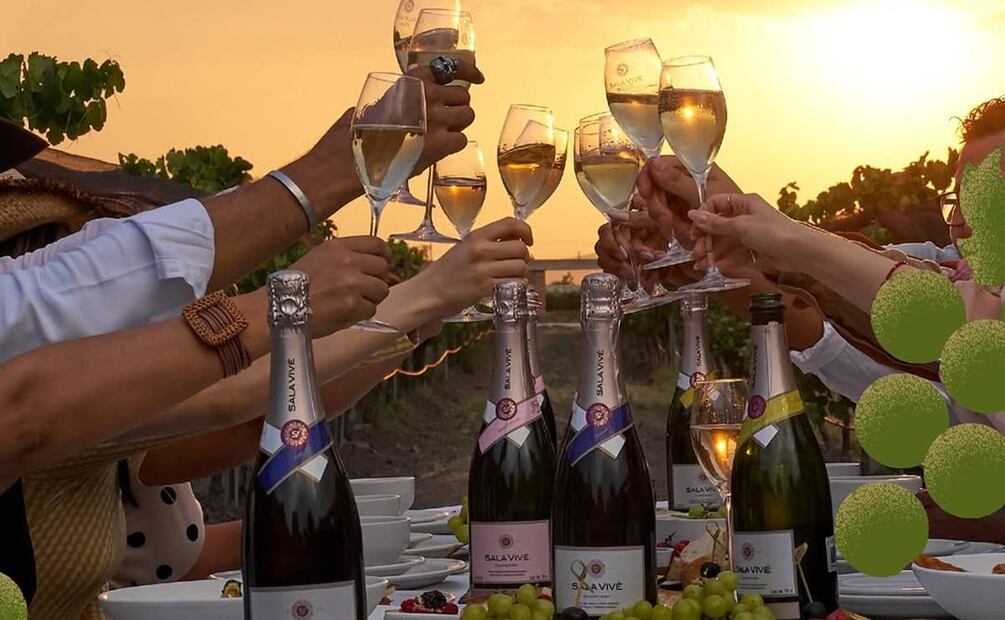 Sala Vivé, de Freixenet México, recibe certificación sustentable. Foto: Instagram