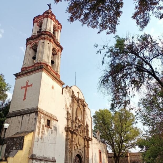 La hormiga en Azcapotzalco que anuncia el fin del mundo