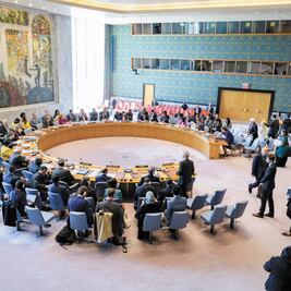 Denuncia ONG a México ante ONU