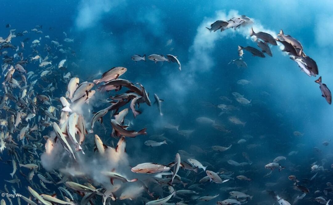 (FOTO: Archivo/EL UNIVERSAL)