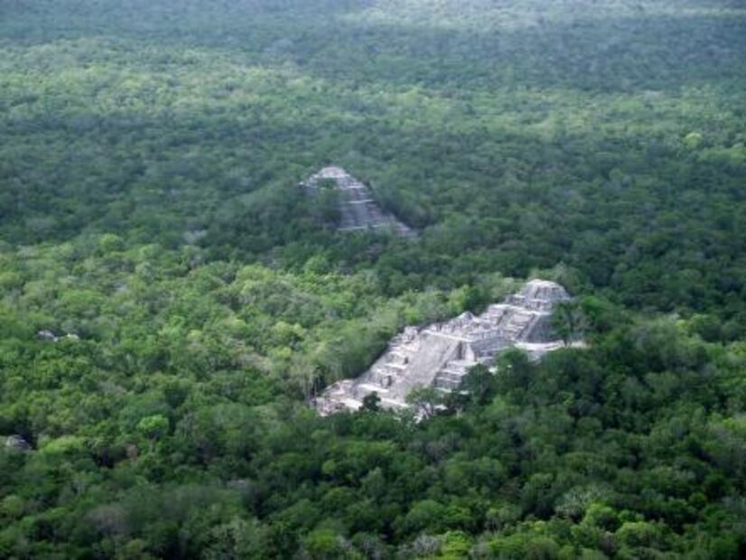 Viaja a Calakmul para descubrir 350 especies de aves
