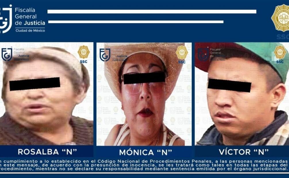 Los imputados fueron detenidos durante cateos realizados en Lomas de Tepemecatl, donde fueron desmantelados dos posibles centros de almacenamiento y transformación de materia prima forestal. Foto: Especial