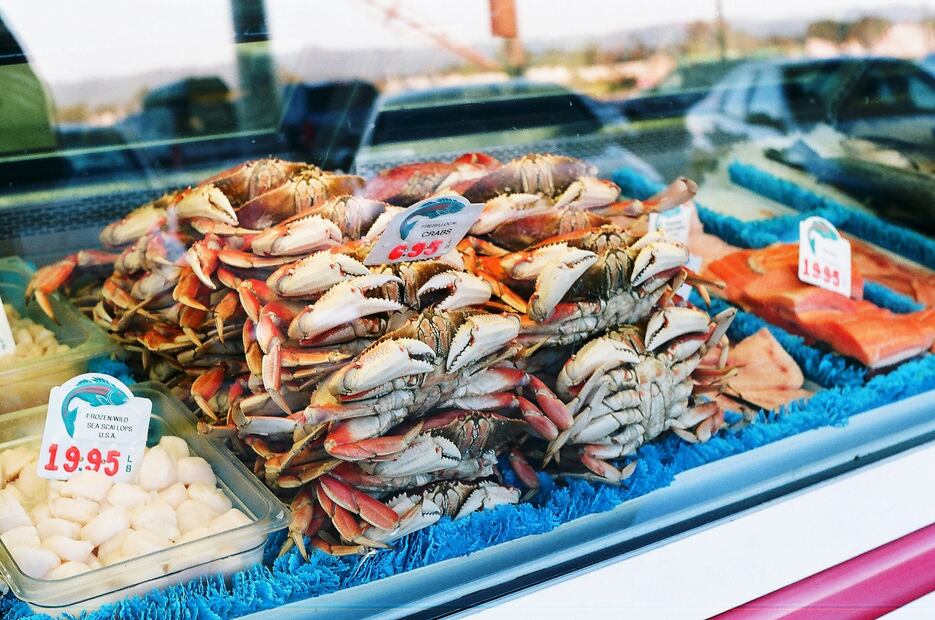 Asegúrate de que los mariscos tengan buen olor, textura firme y ojos brillantes para evitar riesgos de salud. Foto: Freepik