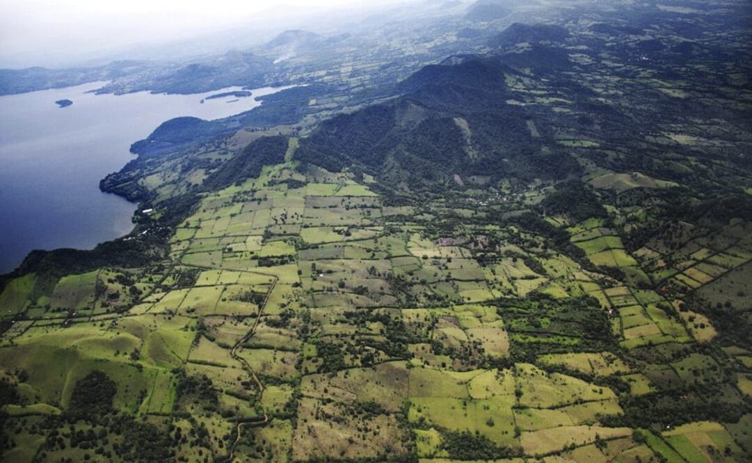 Los Tuxtlas Biosphere Reserve, located in San Andrés Tuxtla, Veracruz - Photo: Guadalupe Szymanski/EFE