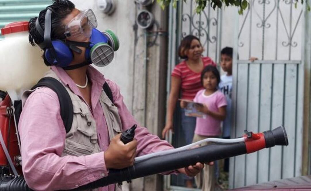 The authorities are conducting a spraying campaign in endangered areas. (Photo: File/EL UNIVERSAL)