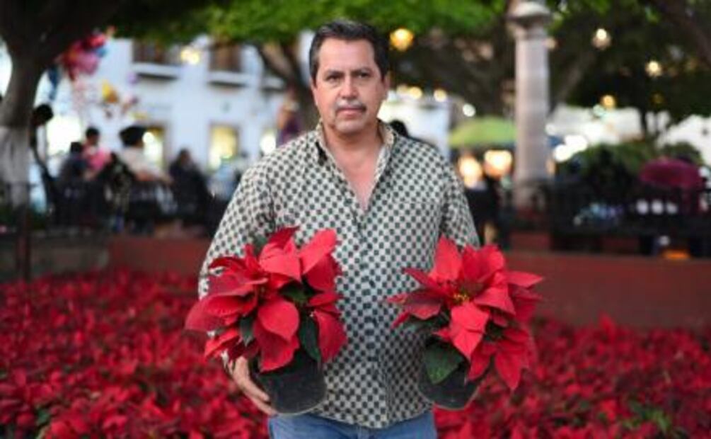 Cuetlaxóchitl, la flor que EU secuestró 