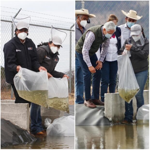 Del Mazo entrega apoyos a 2 mil 500 productores agrícolas y acuícolas del Edomex