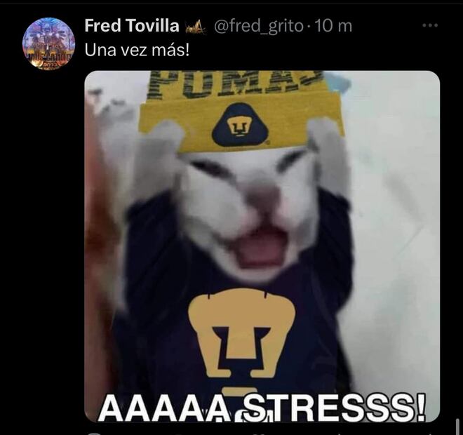 Los memes de la derrota de Pumas