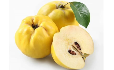 Membrillo, la fruta de Afrodita