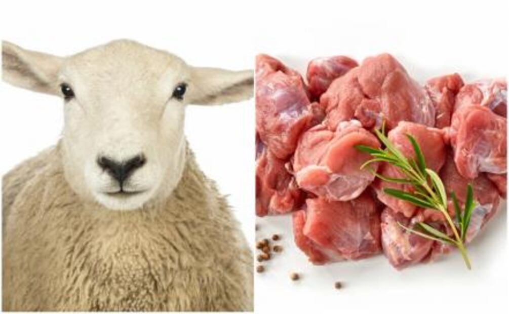 No toda la carne es igual