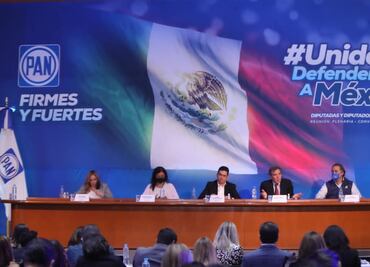 Diputada de Morena plantea prohibir que consejeros del INE participen en reuniones con partidos