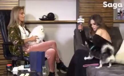 Adela Micha y Lucía Méndez pasan incómodo momento por sus perras