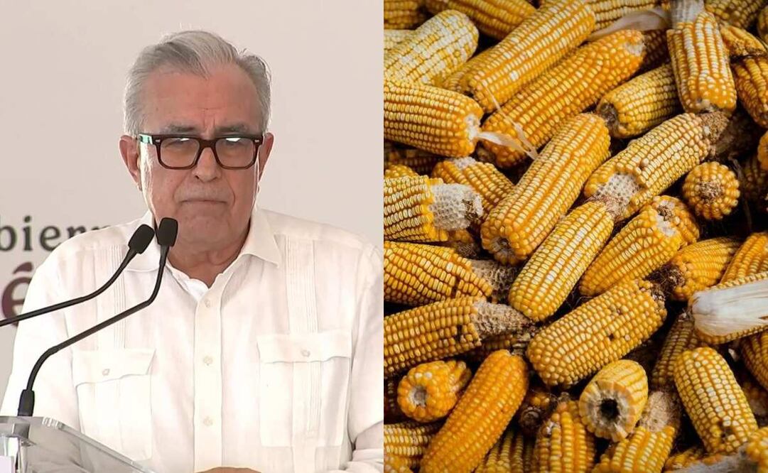 El gobernador de Sinaloa compartió la necesidad de "enfrentar" la "amenaza del maíz transgénero". Foto: Archivo EL UNIVERSAL
