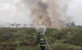 Secretaría del Medio Ambiente reporta incendio en Xochimilco; afecta a más de 7 hectáreas de vegetación