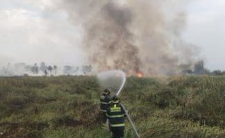 Secretaría del Medio Ambiente reporta incendio en Xochimilco; afecta a más de 7 hectáreas de vegetación