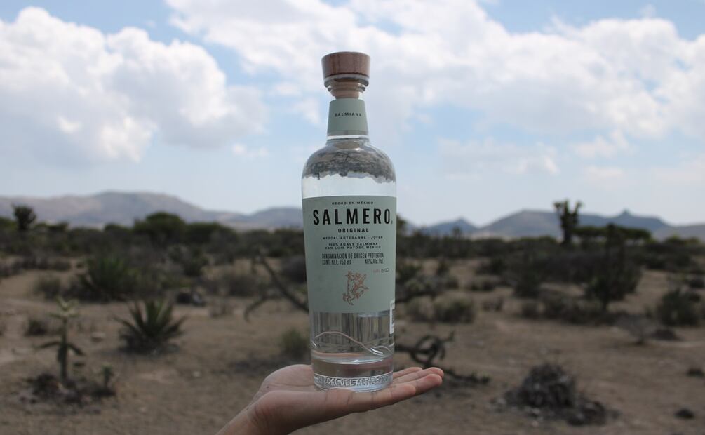 Salmero, el mezcal del Altiplano potosino. Foto: Alan Nájera / El Universal