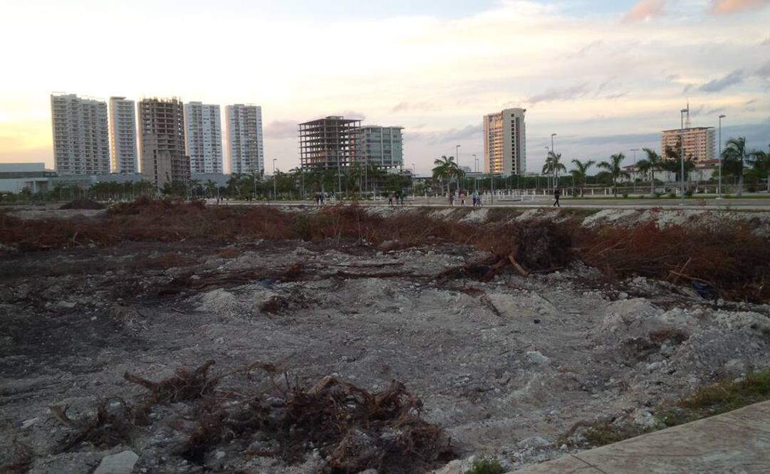 Foto: Adriana Varillas / EL UNIVERSAL