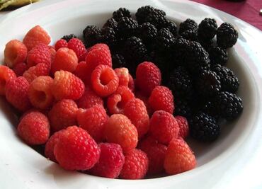 Frutos rojos mexicanos, a la conquista del mundo